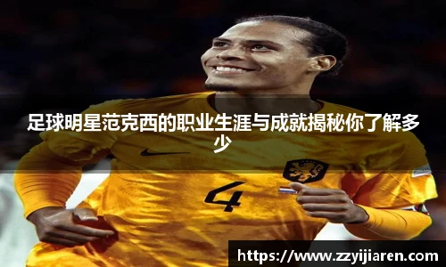 足球明星范克西的职业生涯与成就揭秘你了解多少
